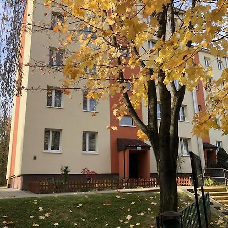 Apartament Krakowska بوخنية المظهر الخارجي الصورة